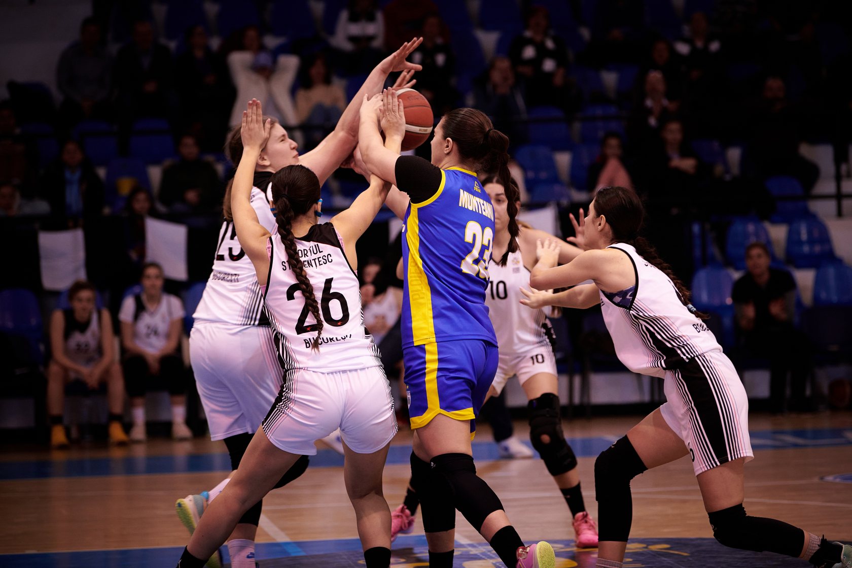 Baschet CSM Ploiesti - Sportul Stundentesc